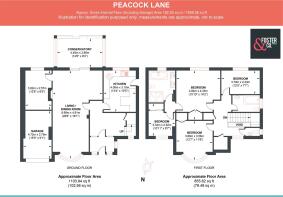 Peacock Lane-V2.jpg