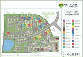 Site Layout