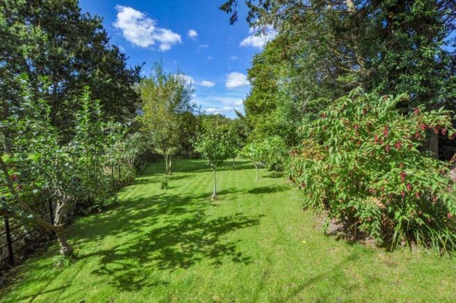 Garden away from house.jpg