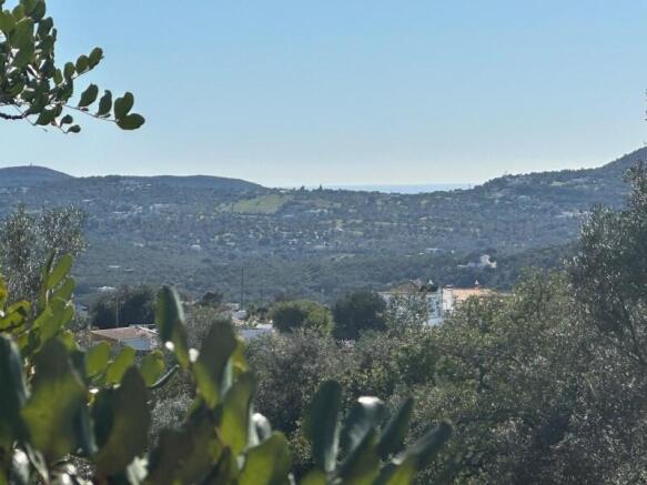 Surroundings