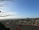The View