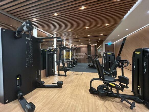 Installing a Luxury Home Gym in London - Paragon Studio