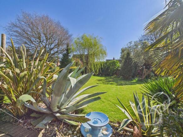 Rear Gardens 2
