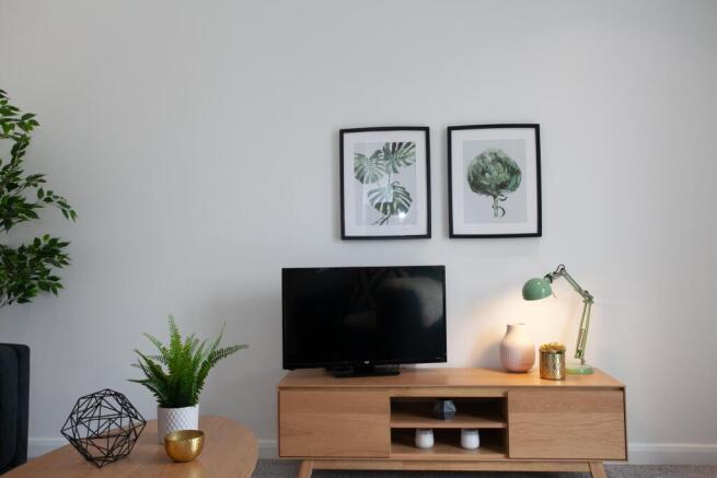 show flat (16)