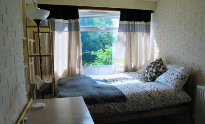 Screenshot 2025-06-17 123946