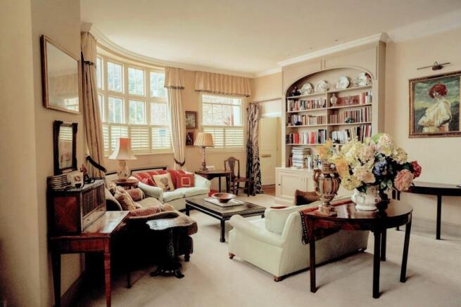 clovermews-7587 2 copy.jpg