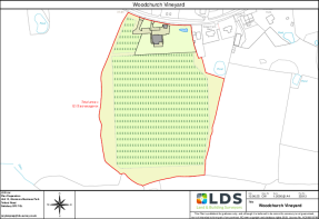 20313_Woodchurch Vin