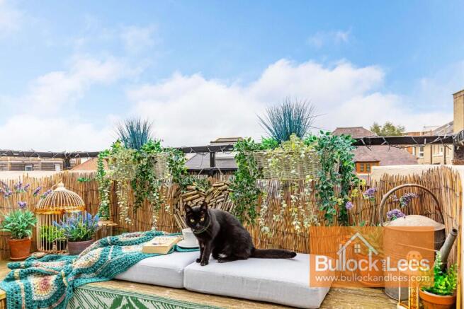 (Cat not included :)