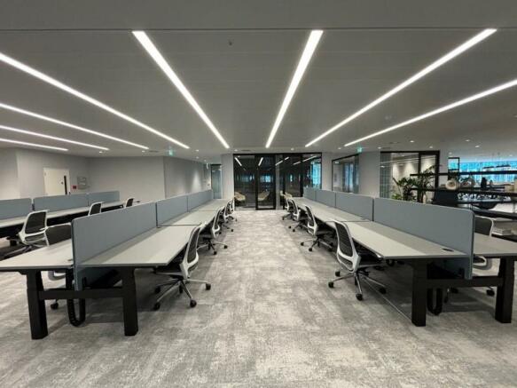 Level 9 show suite - open plan workstations