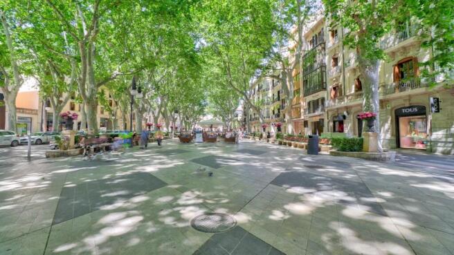 Palma 1