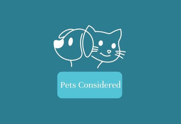 Pets 2 Considered