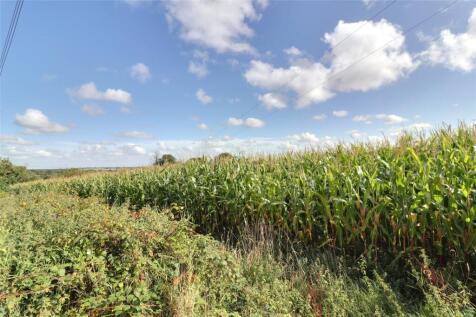 Peters Marland, Torrington, Devon, EX38