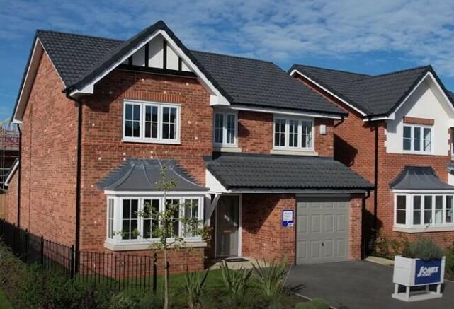 Plot 1