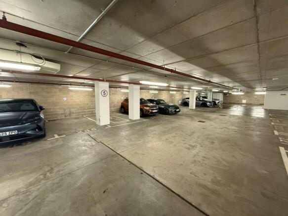 PHOTO20250825142607 2.jpg