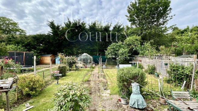 Rear garden