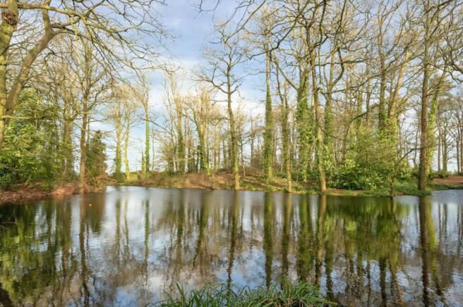 Moat