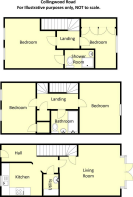 48 Collingwood Road - Floorplan.png