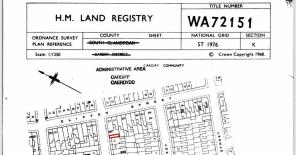 Floor/Site plan 1