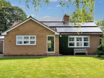 The Dorkings, Great Broughton