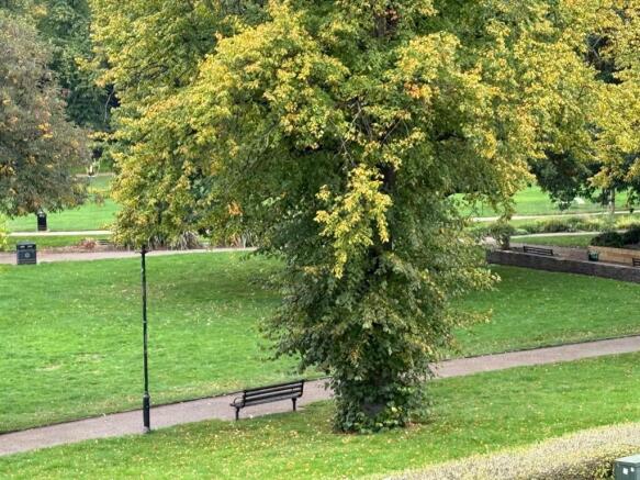 notts park.jpeg