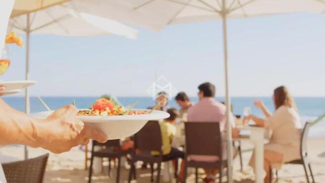 males beach drink friendship fun outdoors paella p