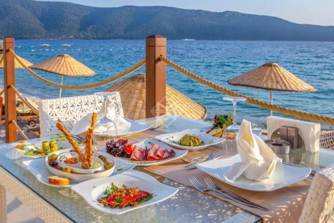 beach table sea restaurant summer chair vacation t