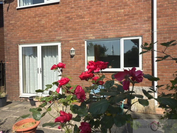 REar garden 2