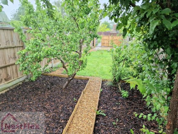 Garden 1