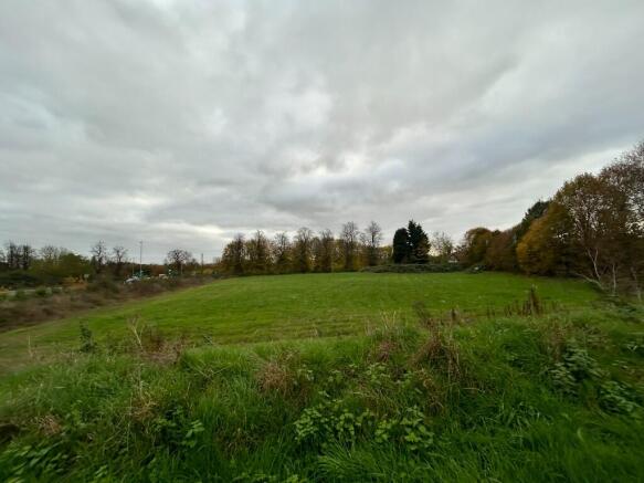 Site View
