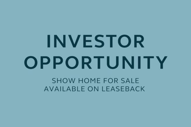 INVESTOR OPPORTUNITY