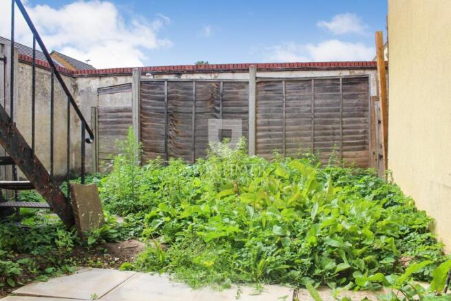 Back garden