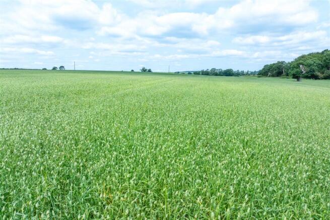 LE14 3EB Land_Hoby-014.jpg