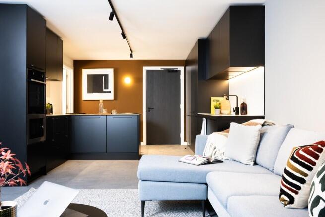 Shared Apartment