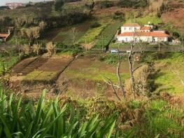 Photo of Faja Da Ovelha, Calheta, Madeira