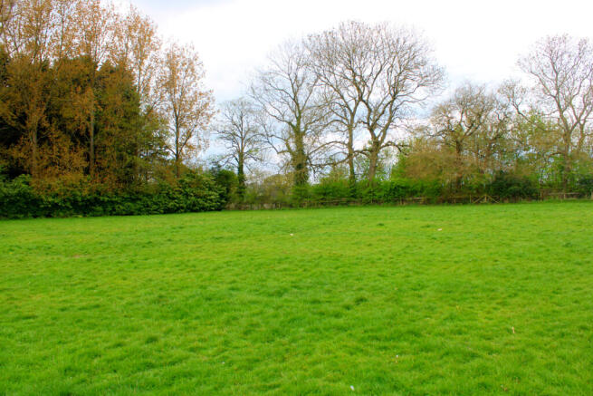 InShot_20250415_195848418