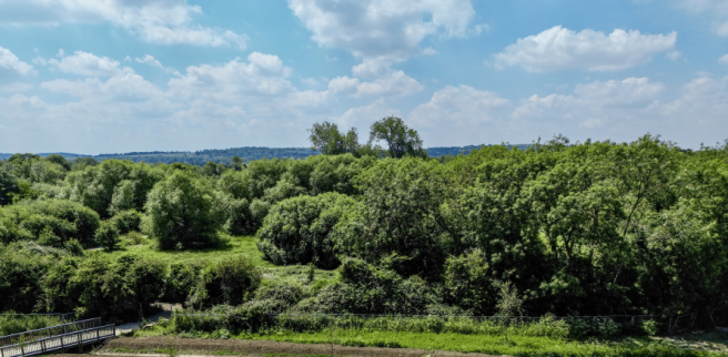 Plot 91 - View
