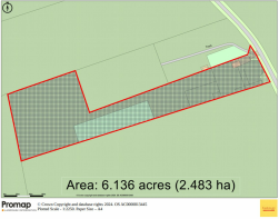 Floor/Site plan 1