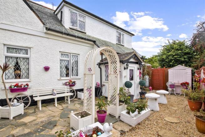 Forget me not_004.JPG