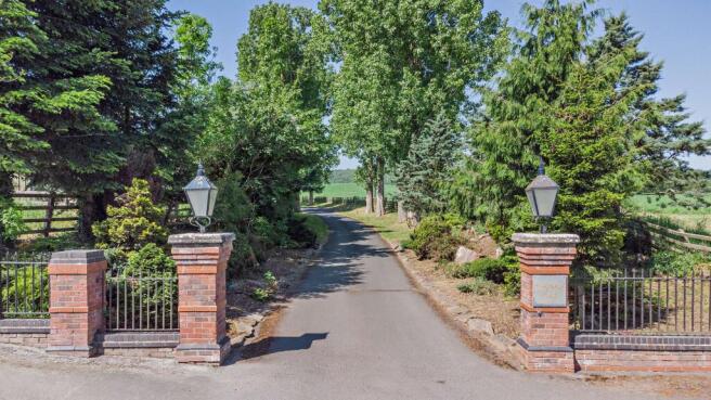 Long tree lined driveway