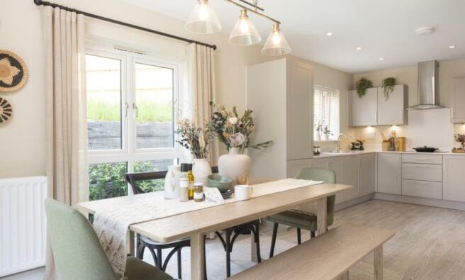Dandara - The Russetts - The Osbourne, Home 17