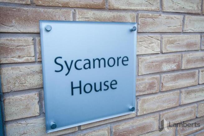 Sycamore sign shot.jpg