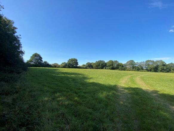 Bonnetts Lane5