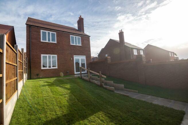 Back Garden
