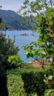 Photo of Perast