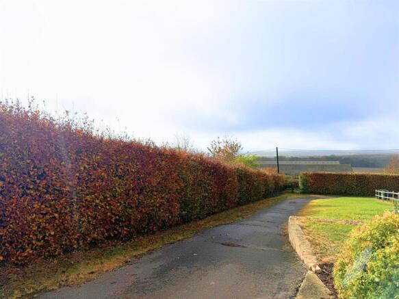 Untitled design (2).jpg