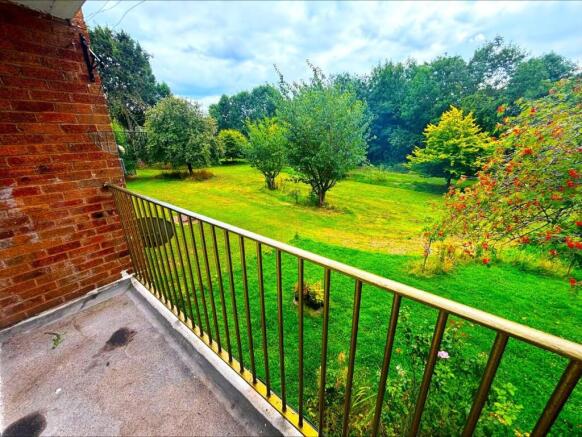 processed-8B03CBE0-782D-4AA6-BB4B-987A49E4F408.jpe