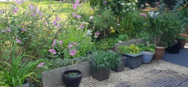 A beautifully manicured garden filled with vibr...