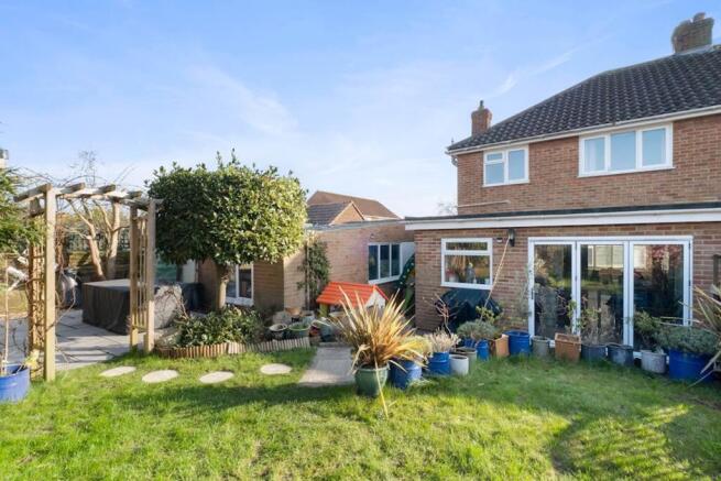 Back garden