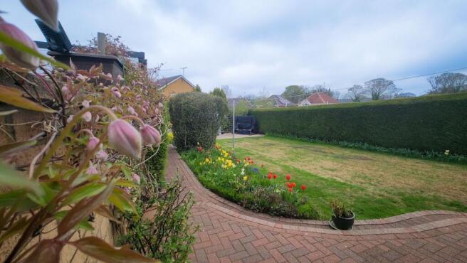 Stunning Garden