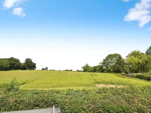 View into Fields